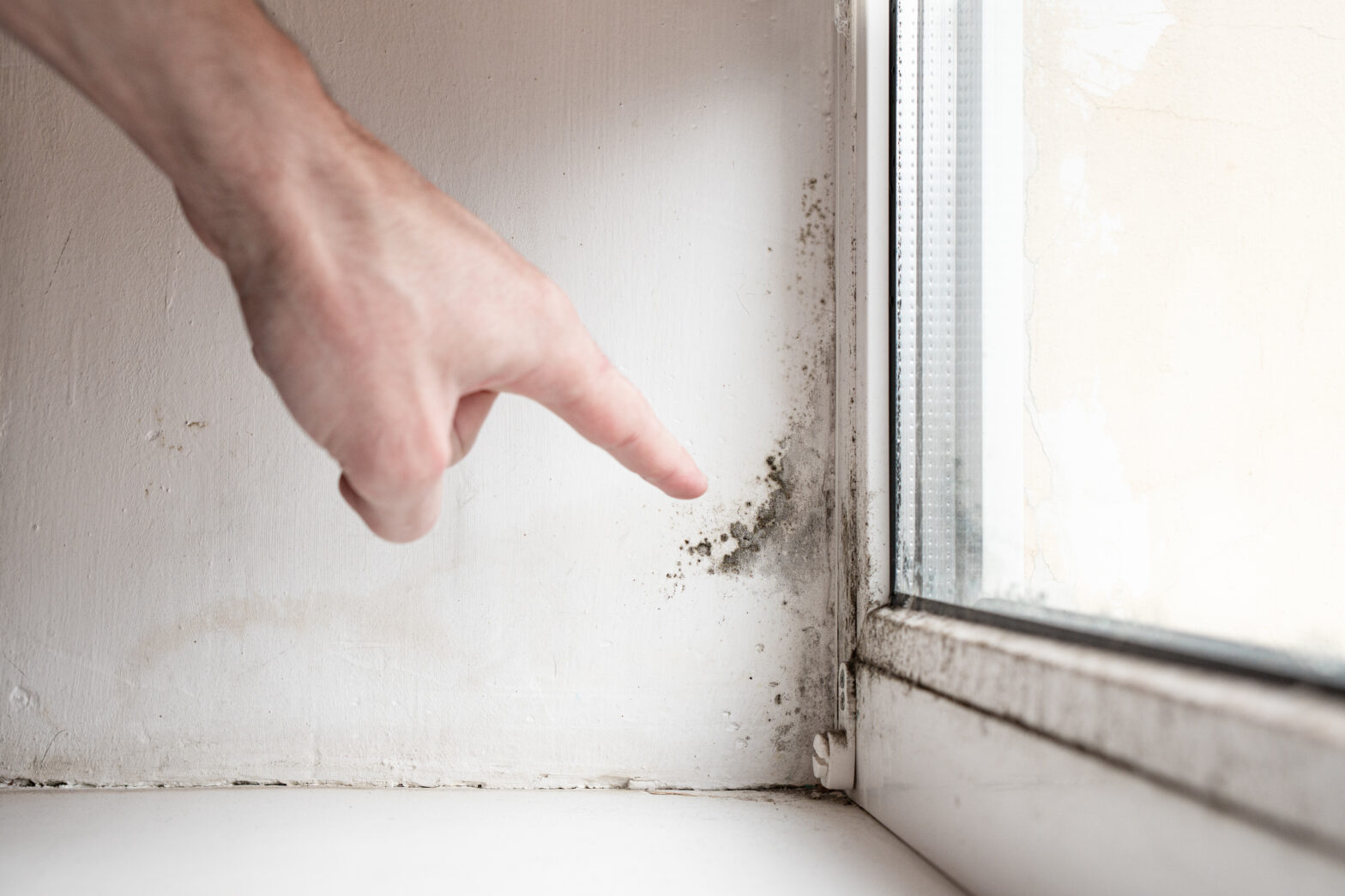 Como eliminar a humidade e infiltrações em sua casa?